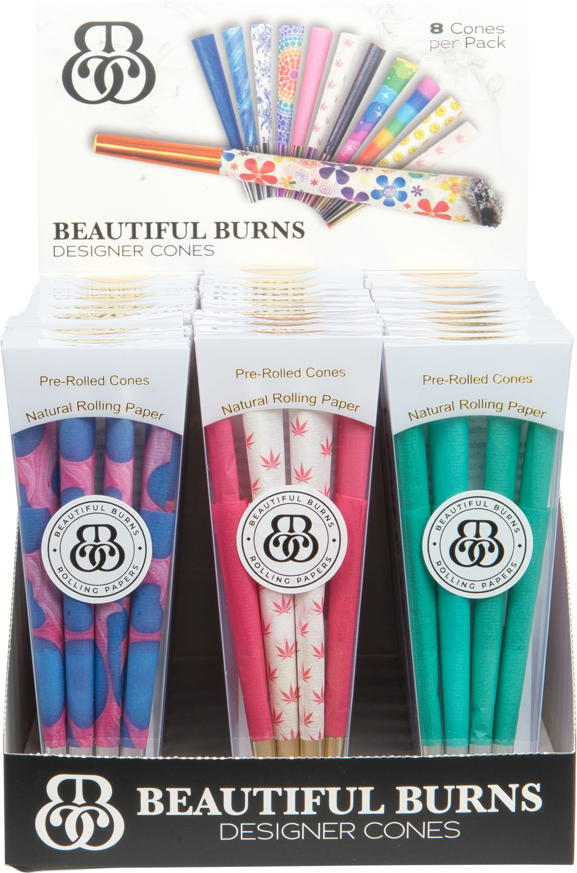 Beautiful Burns Cones 30ct Display