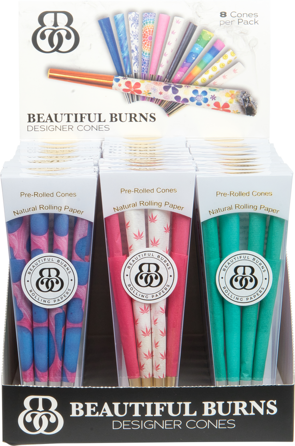 Beautiful Burns Cones 30ct Display
